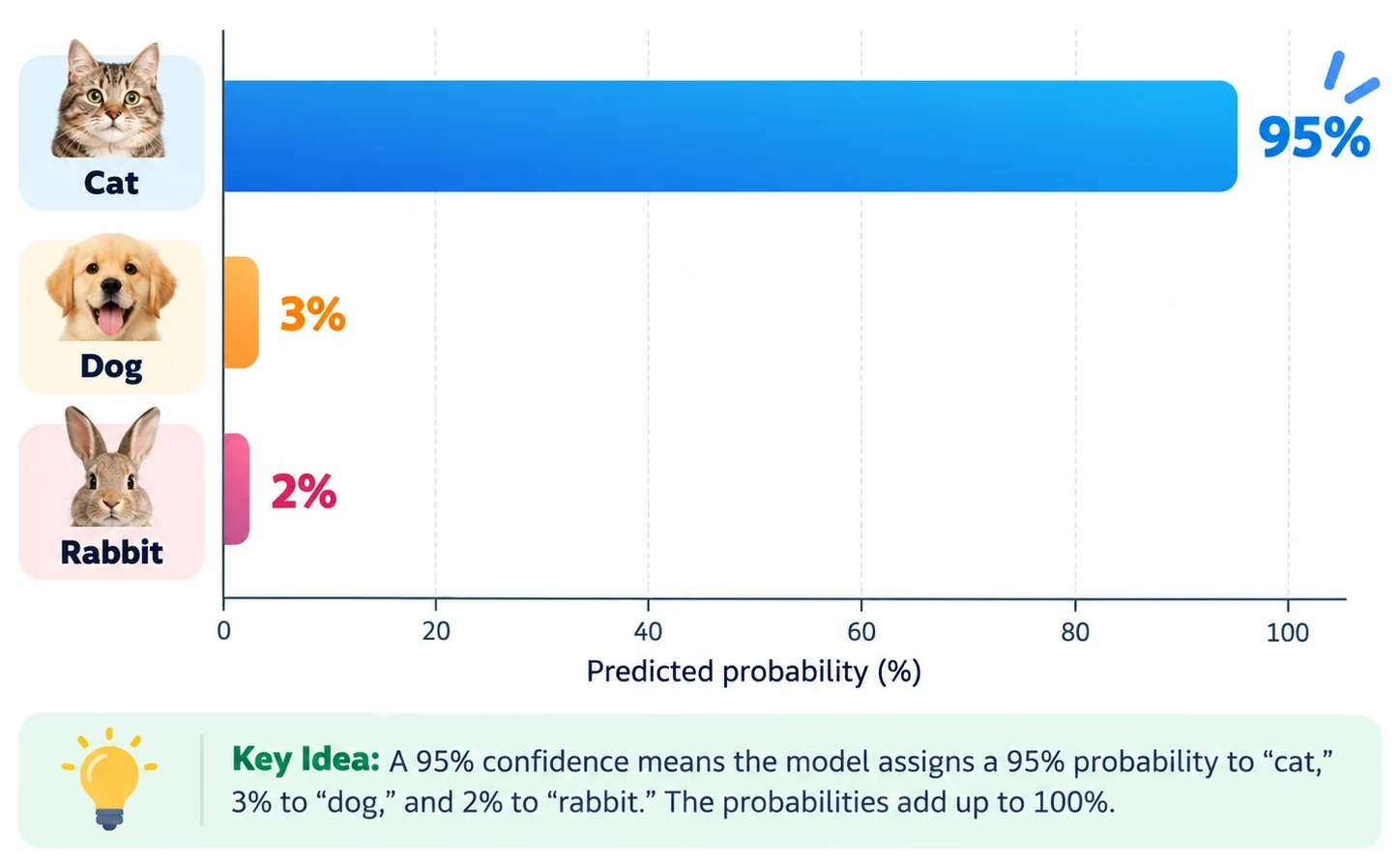 Chart showing a classifier assigning 95 percent probability to cat, 3 percent to dog, and 2 percent to rabbit.